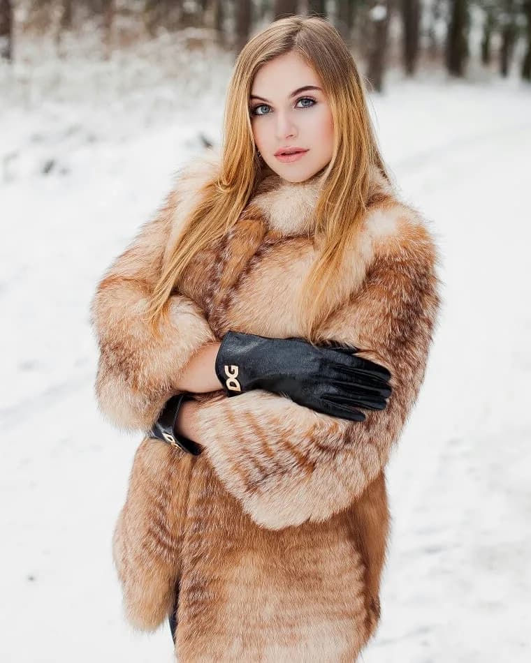 Лиса