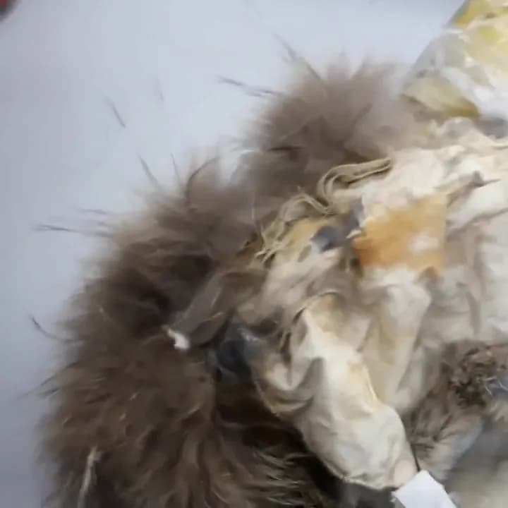 Замена испорченной химчисткой опушки на пуховике
